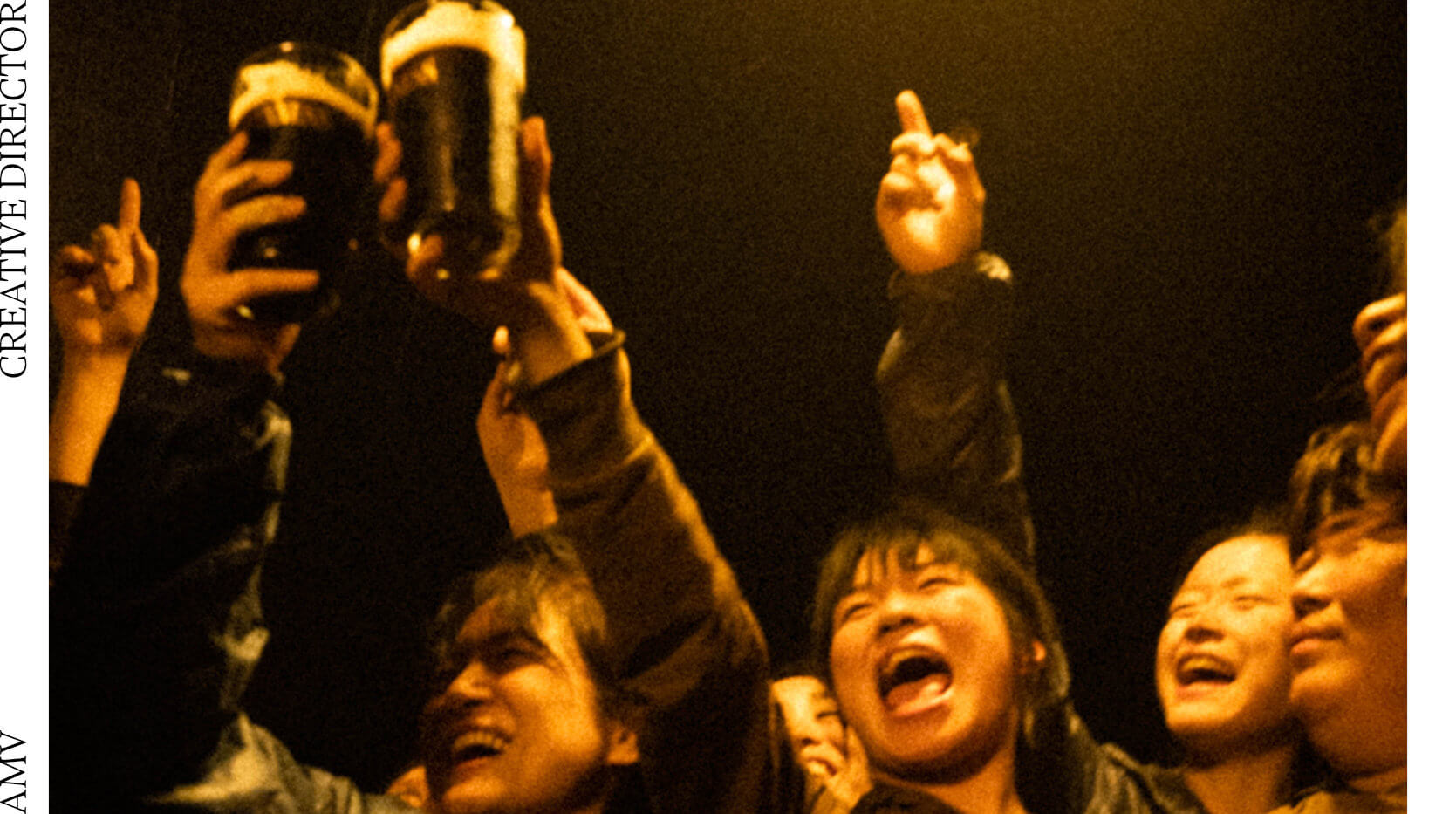 cover-link-libertyfields